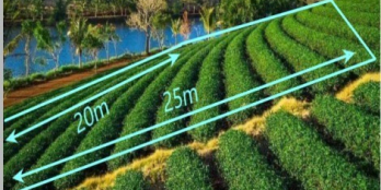 đất biệt thự nghỉ dưỡng view hồ chè bảo lộc 500m2 300mtc