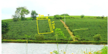 đất nghỉ dưỡng view hồ , view đồi chè 151m2 70m2 thổ cư bảo lộc