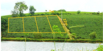 nghỉ dưỡng view hồ dồi chè 150m2 80mtc bảo lôc sổ riêng