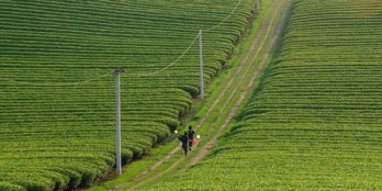 đất như hình nghỉ dưỡng view dồi chè view hồ 150m2 80mtc bảo lộc