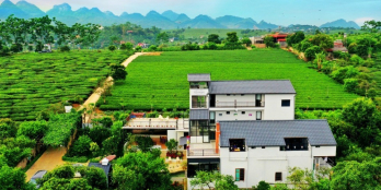 Villa đồi chè 525m (21x25) giá rẻ hiện đại view đồi có suối