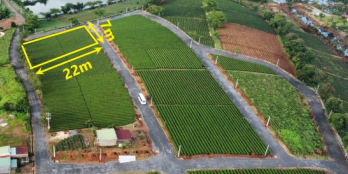 nghỉ dưỡng view hồ đồi chè 150m2 80mtc bảo lộc