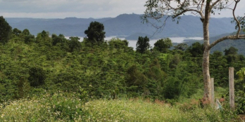 16m ngang mặt tiền đường chính Tà Đùng, sẵn 100m2 thổ cư