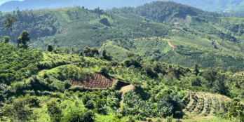 Ngang 10m mặt tiền Quốc lộ view hồ Tà Đùng siêu đẹp