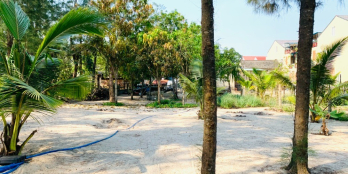 Bán lô 1553m2 Đất mặt tiền Biển An Bàng Hội An Có hơn 700m2 đất ở