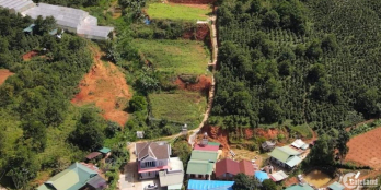 Em bán 2ha ( 20000m ) chuyển fulf thổ trung tâm thị trấn Đasar , cách Đà Lạt 16k