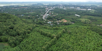 Chính chủ cần bán  đất vườn cạnh UBND xã Phú Ngọc ,Định Quán- chỉ 750 triệu/sào