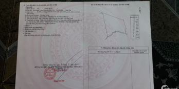 ĐẦU TƯ SINH LỜI AN TÂM BỀN VỮNG GIÁ F0 TỪ CHỦ ĐẦU TƯ