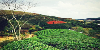 đất nghỉ dưỡng view hồ đồi chè 151m2 80mtc bảo lộc shr