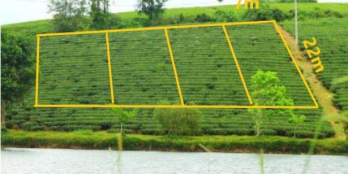 đất nghỉ dưỡng view hồ 150m2 80mtc bảo lộc s.h.r