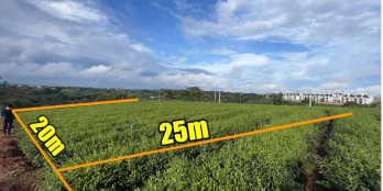 Siêu Biệt Thự Ven Đà Lạt View Đồi Chè 500m2 giá chỉ 7tr/m2