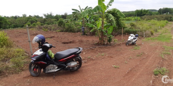 Cần Bán 1,2 sào Đất giá rẻ tại Đông Hòa ,Trảng Bom