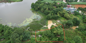 đất hồ Sậy Ngọc Phụng Thường Xuân Thanh Hóa