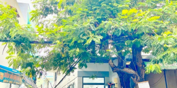 Căn góc Mặt Tiền kinh doanh Đường Số chợ Tân Mỹ,Q7