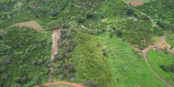 Gần 1 hecta đất đẹp gần trung tâm Tà Đùng chỉ 800tr. Bao giá thấp nhất.