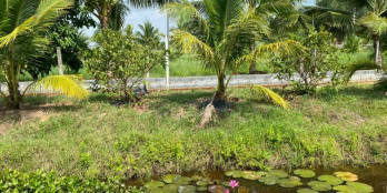 Chủ cần tiền bán gấp lô đất Củ Chi 1,5 tỷ SHR