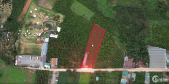 Em bán lô đất biệt thự 2000m², cạnh KDL Mongo Land Đà Lạt, Xã Tà Nung, Đà Lạt