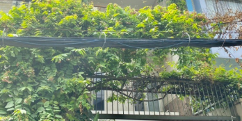 Mặt tiền Cầm Bá Thước, Phú Nhuận. 4.9x25m NH 5.3m. 4 tấm, 23 tỷ