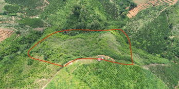 2,5 hecta đất gần Trung Tâm Tà Đùng có tới 250m mặt tiền đường