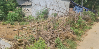 Bán hơn 700m tại Cư Yên-Lương Sơn,mặt tiền đường rộng,ô tô tránh nhau thoải mái.