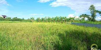 Mua bán đất nền giá rẻ tại Triệu Phong Quảng Trị