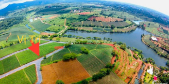 HOT!!! CHÍNH CHỦ - ĐẤT BẢO LỘC VIEW HỒ- 500M2 (20X25M)- THỔ CƯ- SỔ SẴN