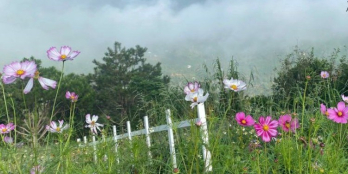 cần ra gấp lô đất 161m2 80mtc view đẹp bảo lộc