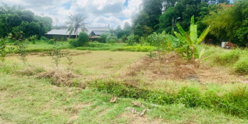 Chủ gửi bán gấp lô đất SHR 1,99 tỷ/ 500m2 (thương lượng)