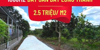 Đất dân Bàu Cạn đường bê tông 6m, sẵn vườn trái cây, ao thả cá. Xe tải vào tận đ