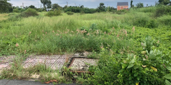 đất 700tr 4,5x12 94m2 tại xã tân lân, cần đước,long an lh: 0862709559