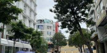 Cần bán nhà góc 2MT ngay Bùi Thị Xuân, P. Bến Thành, Q1, DT 6x15m,53tỷ