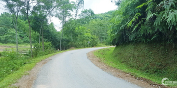 Em gửi bán lô đất rừng rậm rạp nước lênh láng giá cực rẻ tại Đà Bắc