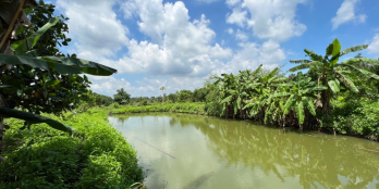 Đất dân Bàu Cạn sẵn cây ăn trái và ao cá, đường bê tông 6m, gần đường 770B