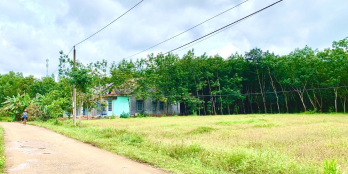 Đất ngay UBND Tân Lợi, sát tuyến số 4, KCN Becamex giá chỉ từ 590 triệu