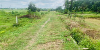 Bán gấp lô đất 1,99 tỷ SHR 508m2 đường xe hơi tránh nhau