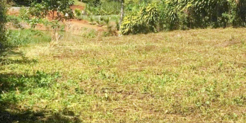 Bán nhanh đất sào Lộc An - Bảo Lộc (14x74) 790tr, sổ sẵn