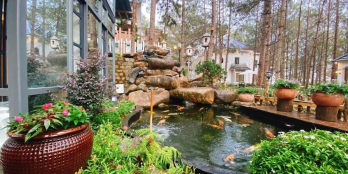 900 triệu sở hữu homestay 500m2 ven hồ Lâm Đồng