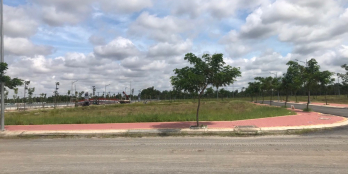 BÁN LÔ ĐẤT 150 M2 ĐƯỜNG NGUYỄN VĂN TUÔI TT BẾN LỨC GIÁ 1 TỶ 850 TRIỆU