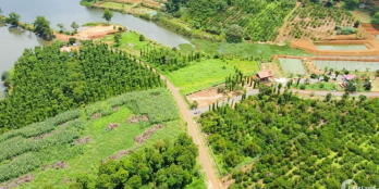 Kẹt tiền bán đất trả nợ nên bán 1 lô đất giá rẻ ngay trung tâm