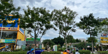 Bán đất xây cao tầng Bình An Quận 2 mặt tiền đường số 12 DT 10x29 chỉ 193triệu/m