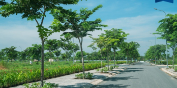 Ngân hàng phát mãi 10 lô đất thổ cư liền kề dự án đô thị ven sông Fenice