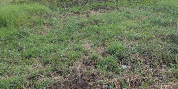 Chính chủ cần tiền bán gấp giảm giá mạnh cho khách khi mua lô 200m2 thổ mặt tiền