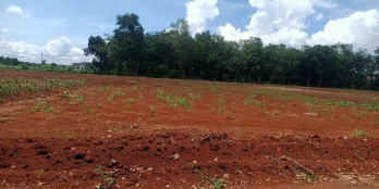 Bán đất chưa qua đầu tư, giá rẻ, siêu lợi nhuận chỉ có ở tt Long phước - tp Bịa