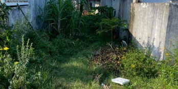 85m2 thổ cư Tân An Hội, sổ sẵn