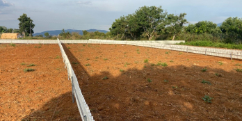 Bán đất thổ cư Tà Nung, Đà Lạt.