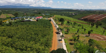 Chính chủ bán đất nghỉ dưỡng Bảo Lâm Bảo Lộc view đẹp giá đầu tư