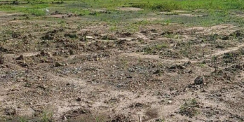 [GẤP] Đất Thạnh Đức,Gò dầu,57x60m, giá chỉ 3.3 tỷ đồng