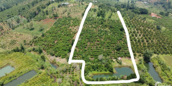 chỉ cách ql  2km, 100.000/m2.nguồn thu mạnh,đất thoải đẹp,đầu tư tốt