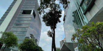 Nhà Sương Nguyệt Ánh, P Bến Thành, Q1 ( 8.2 x 20m ), Gía 42 tỷ