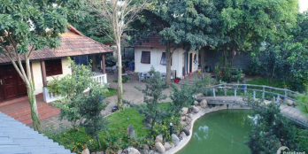 Bấm bụng! bán nhanh mảnh vườn giá 700 triệu để con gái mở rộng Kinh Doanh